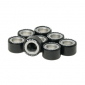 GALET/ROULEAU MAXISCOOTER MALOSSI 25x14,9 10,0g (x8) POUR YAMAHA 500 TMAX, 530 TMAX 2012>, 560 TMAX (6613561Z0) 3700948134597