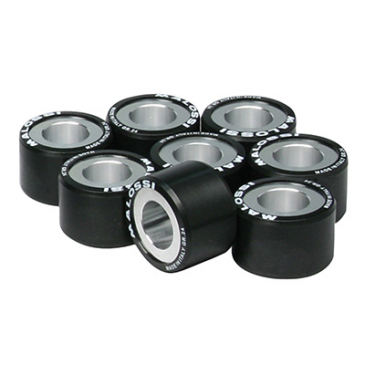 GALET/ROULEAU MAXISCOOTER MALOSSI 29,8x19,8 26,0g (x8) POUR BMW 600 SPORT, 650 GT (6615657L0) 3700948135488