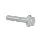 SCREW FOR REAR SPROCKET FOR RIEJU 50 RR, MRX (8x40 mm) -SELECTION P2R-