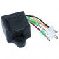 BOITIER CDI SCOOT ADAPTABLE MBK 50 BOOSTER, NITRO, OVETTO (MINARELLI) (TYPE ORIGINE) -TOP PERFORMANCE- 3700948220900