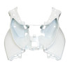 FRONT SHIELD - "PIAGGIO GENUINE PART" 300-500 MP3 BUSINESS WHITE 566 -65370400BT-