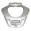 RADIATOR SHIELD CLOSING "PIAGGIO GENUINE PART" 300-500 MP3 BUSINESS 2014> GREY 760/B -2B000693000H4-
