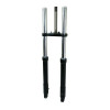 FRONT FORK "PIAGGIO GENUINE PART" GILERA 50 SMT, RCR 2018>/APRILIA 50 SX 2018> -2B005154-