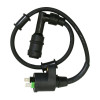 IGNITION COIL "PIAGGIO GENUINE PART" 50 ZIP 2018> 4 stroke -CM271704-