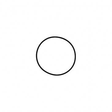 O'RING GASKET FOR CYLINDER HEAD "PIAGGIO GENUINE PART" APRILIA 125 RX, SX, RS, MX, TUONO, CLASSIC, AF1 -AP0250160-