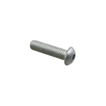 VIS BTR TETE BOMBEE (8x30) ORIGINE PIAGGIO COMMUN A LA GAMME -AP8152056-