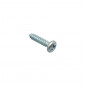 SCREW - FOR FAIRINGS FASTENING OR FLASHER "PIAGGIO GENUINE PART" COMMON TO ALL THE RANGE -008457-