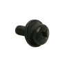 SCREW - FOR COOLANT TANK (6X16) "PIAGGIO GENUINE PART" GILERA 50 SMT, RCR/APRILIA 50 SX, RX -00H05900021-