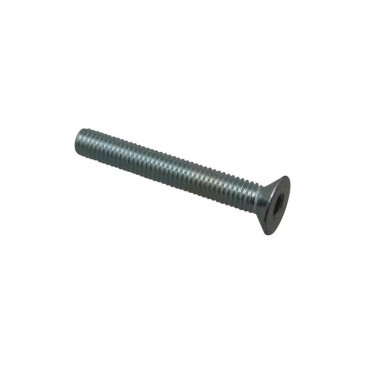 SCREW - FOR BAR ENDS "PIAGGIO GENUINE PART" COMMON TO ALL THE RANGE -576836-