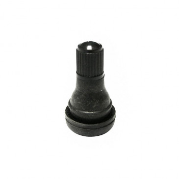 TUBELESS VALVE -597679-