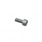 SCREW - (4,70x10) "PIAGGIO GENUINE PART" COMMON TO ALL THE RANGE -AP8152043-
