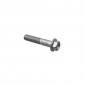 SCREW - FLANGE "PIAGGIO GENUINE PART" COMMON TO ALL THE RANGE -AP8152281-