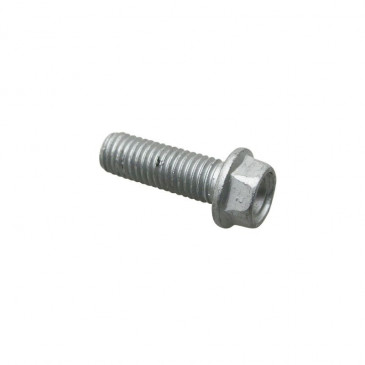 VIS BRIDE TH (10x30) ORIGINE PIAGGIO COMMUN A LA GAMME -AP8152320-