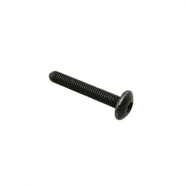 VIS TORX (6x40) TETE BOMBEE ORIGINE PIAGGIO COMMUN A LA GAMME -CM179304-