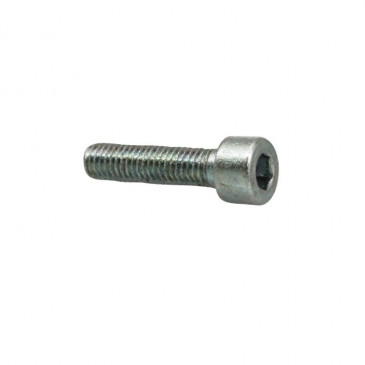 VIS BTR (5x20) ORIGINE PIAGGIO COMMUN A LA GAMME -667890-
