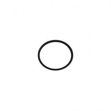 O-RING 21.9X1.78 FPM ( -AP9150357-