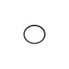 O-RING 21.9X1.78 FPM ( -AP9150357-