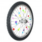 WHEEL COLOUR DESIGN - TO CLIP ON SPOKES (24 in a bag) 3700948091722