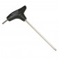 ALLEN KEY - P2R 5mm WITH HANDLE 3700948094433