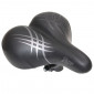 SELLE NEWTON CITY STRACE PHOENIX FEMME RELAXED NOIR 255x225mm AVEC CHARIOT RAIL ACIER NOIR AVEC AMORTISSEUR 3700948075609