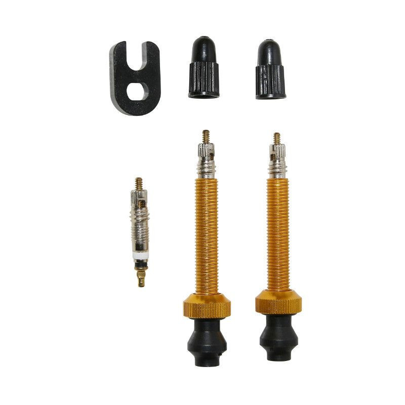 VALVE DE PNEU VTT SELECTION P2R TUBELESS COLORI GOLD 45mm PRESTA (LA