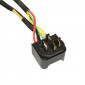 CABLE BOSCH POUR BATTERIE POWERTUBE 220mm BDU2XX - BDU3XX - BDU4XX - BCH280 4047026050202