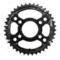 CHANRING FOR ROAD BIKE- 39T. Ø 110 - 4 ARMS - 39T. MIDDLE - SHIMANO TIAGRA TRIPLE 4703 10Speed . BLACK 4524667896272