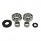 BEARINGS+NEEDLE BEARINGS FOR GEARBOX -SKF - FOR DERBI 50 SENDA (2x6203 C4 + 2 x HK1412 + 2 SPI 12x20x5 / 17x35x7)