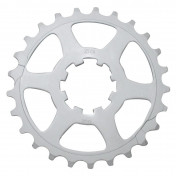 PIGNON 11V. MICHE POUR CAMPAGNOLO 25D. 8054521676741