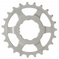 PIGNON 11V. MICHE POUR SHIMANO 23D. DERNIERE POSITION 8054521677137