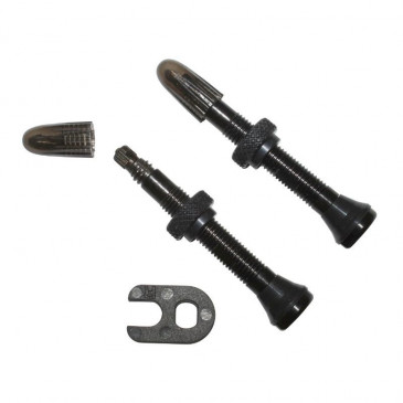 TYRE VALVE PRESTA - SCHWALBE TUBELESS 40 mm (SOLD BY 2) REMOVABLE CORE