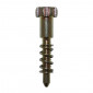 VIS DE RALENTI POUR CARBURATEUR DELLORTO PHVA (AVEC RESSORT) 3700948130933