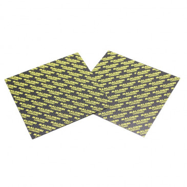 LAMELLE DE CLAPET MALOSSI CARBONE 0,30 FEUILLE 100x100 (x2) 3700948133415