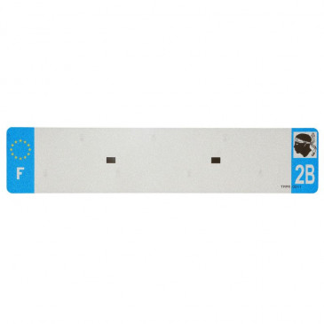 BANDE PLAQUE AUTO 520x110 POUR PVC VIERGE DEP.2B/EURO (VENDU A L'UNITE)