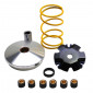 VARIATOR FOR SCOOT REPLAY RACING FOR PEUGEOT 50 SPEEDFIGHT, TREKKER, LUDIX (WITH SPRING (16x13) 3700948040591