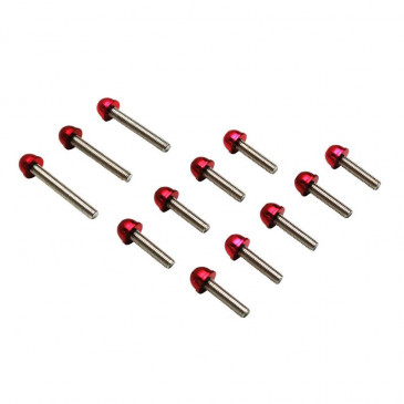 KIT FASTENER REPLAY FOR KICK STARTER COVER (STEEL) WITH RED OVAL HEAD FOR MBK 50 BOOSTER/YAMAHA 50 BWS (SET OF 12)