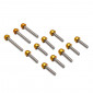 KIT FASTENER REPLAY FOR KICK STARTER COVER (STEEL) WITH GOLDEN OVAL HEAD FOR MBK 50 BOOSTER/YAMAHA 50 BWS (SET OF 12) 3700948040805