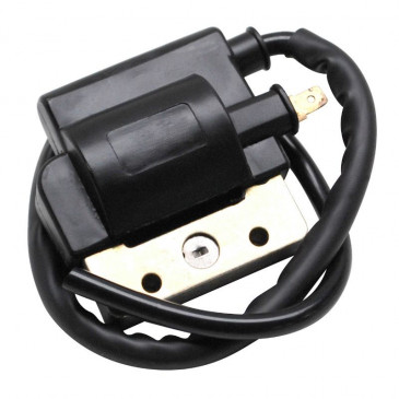 BOBINE ALLUMAGE CYCLO ADAPTABLE PEUGEOT 103 AVEC RUPTEUR (HAUTE TENSION EXTERIEURE) -P2R- 3700948049884