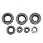 OIL SEAL (FULL SET) FOR DERBI 50 SENDA 2006>, GPR/GILERA 50 SMT, RCR 2006> ( PIAGGIO EURO 3) (7 ITEMS) -SELECTION P2R-