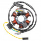 IGNITION STATOR FOR 50CC MOTORBIKE MINARELLI 50 AM6 (DUCATI 60W, 6 POLES, WITHOUT PLATE) -SELECTION P2R-