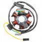 STATOR ALLUMAGE 50 A BOITE ADAPTABLE MINARELLI 50 AM6 (DUCATI 60W) (6 POLES SANS PLATINE) -P2R- 3700948062999