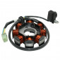 STATOR ALLUMAGE SCOOT ADAPTABLE KYMCO 50 BET WIN, SUPER 9, TOP BOY, VITALITY DINK, PEOPLE (8 POLES) -P2R- 3700948053102