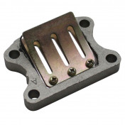 REED VALVE FOR PEUGEOT 50 TKR, TREKKER, SPEEDFIGHT, BUXY, ELYSEO, VIVACITY, ZENITH -SELECTION P2R- 3700948064061