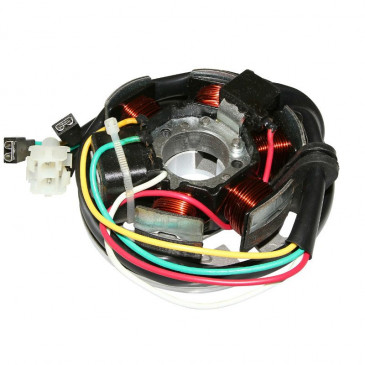 STATOR ALLUMAGE 50 A BOITE ADAPTABLE MINARELLI 50 AM6 / DERBI 50 SENDA (80W) (SANS PLATINE) -P2R- 3700948053027