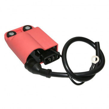BOBINE ALLUMAGE AVEC CDI SCOOT ADAPTABLE PIAGGIO 50 ZIP 2T 1992>1997, 50 TYPHOON 1994>1997, 50 NRG 1994>1998 / GILERA 50 STALKER 1997>2003, 50 RUNNER 1997>2003 (GROSSES FICHES) (R.O. 252537) -P2R- 3700948079737