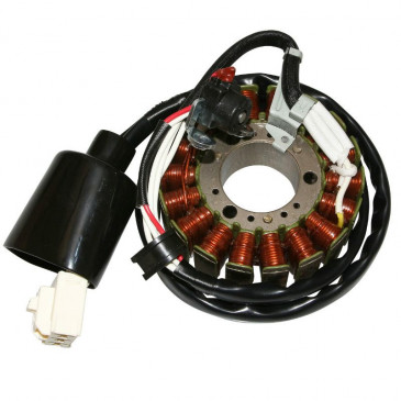 STATOR ALLUMAGE MAXISCOOTER ADAPTABLE YAMAHA 400 MAJESTY 2004>2008 / MBK 400 SKYLINER 2004>2008 (18 POLES) -P2R- 3700948080153