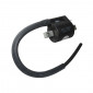 IGNITION COIL FOR SCOOT SYM 50 MIO -SELECTION P2R- 3700948153307