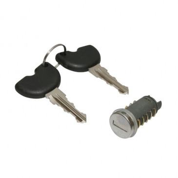 CONTACTEUR A CLE MAXISCOOTER ADAPTABLE PIAGGIO 125 X8, X9, X9 EVO, BEVERLY, VESPA ET4, VESPA ET2, VESPA GRANTURISMO -P2R- 3700948079935