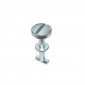 PIVOT CACHE MOTEUR CYCLO ADAPTABLE PIAGGIO 50 CIAO PX COURT 31 mm (OEM 132871) -SELECTION P2R- 1218586000001