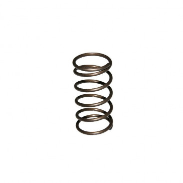 SPRING FOR SCREW PIVOT (ENGINE COVER) FOR MOPED PIAGGIO 50 CIAO PX (RO.122957) -SELECTION P2R- 1218901200001